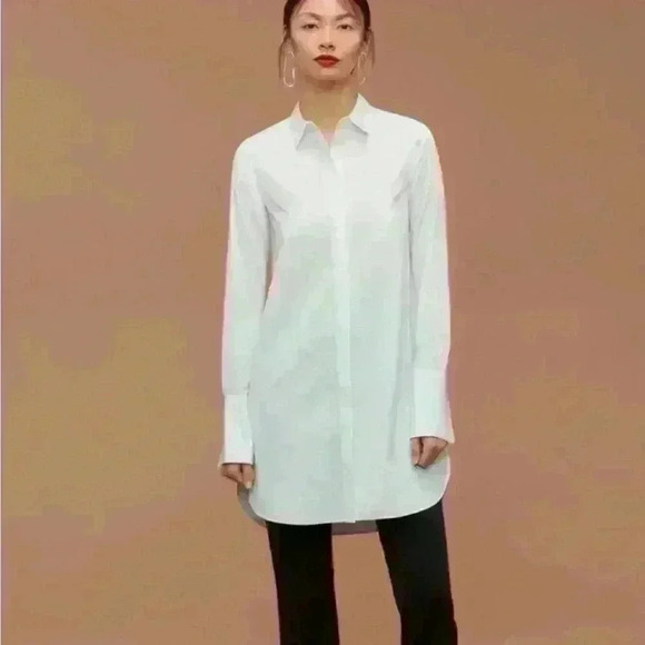 Aritzia Babaton Blue White stripes Carleton Poplin Shirt Dress Tunic size M - Picture 5 of 13